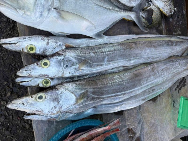 bi-mat-ca-ho-la-ca-gi