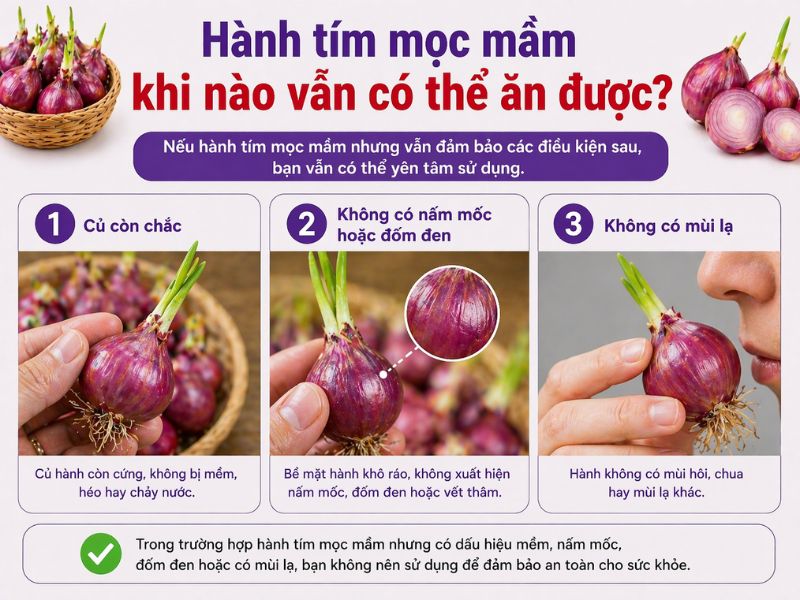 bi-mat-hanh-tim-moc-mam-co-an-duoc-khong