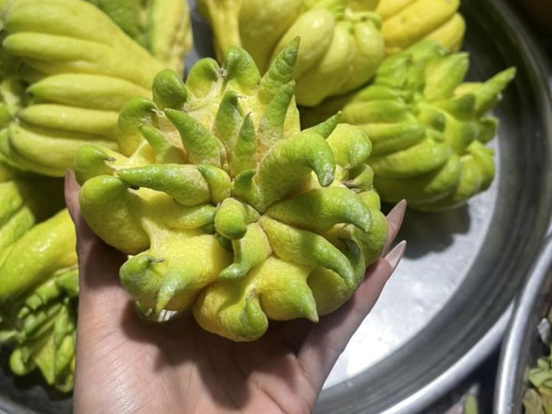 cach-bay-phat-thu-tren-ban-tho-dep