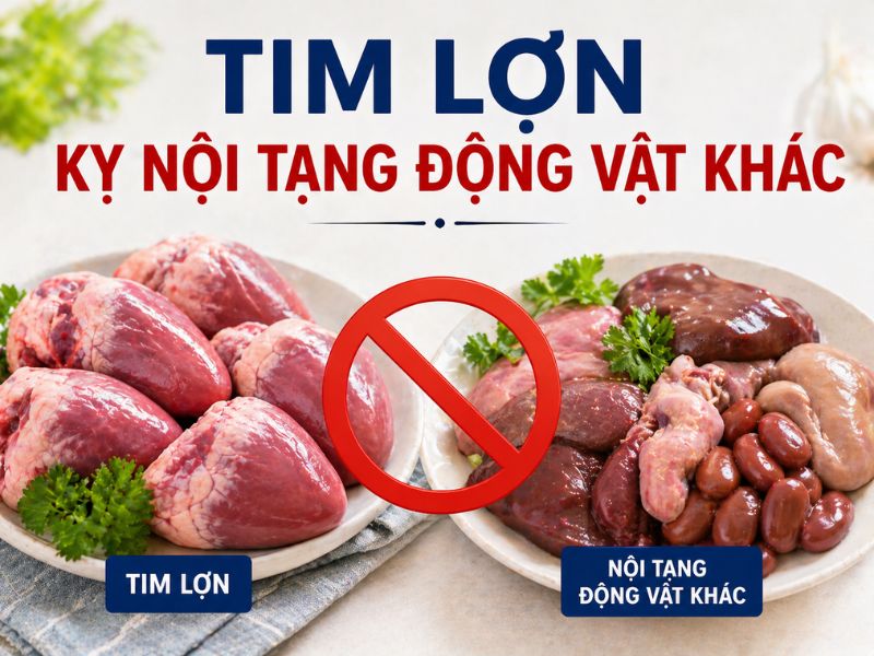 giai-dap-tim-lon-ky-voi-gi