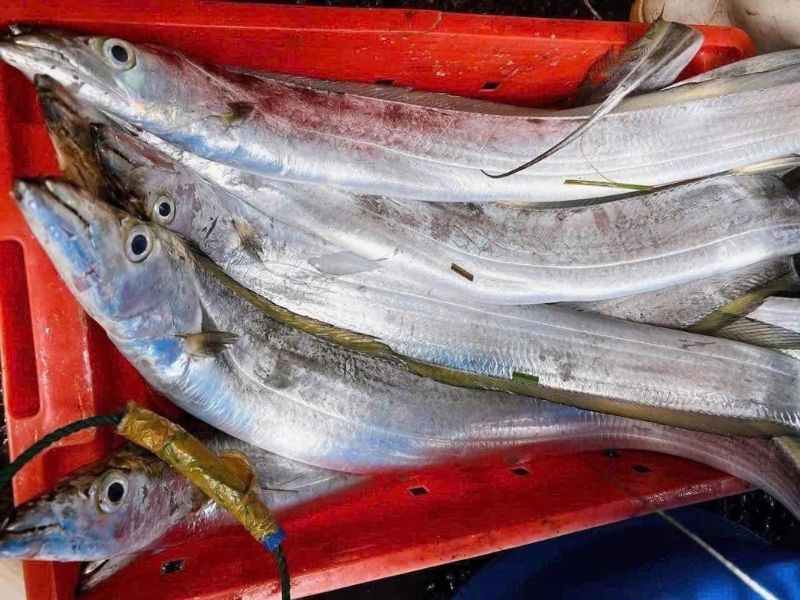 goc-bat-mi-ca-ho-la-ca-gi