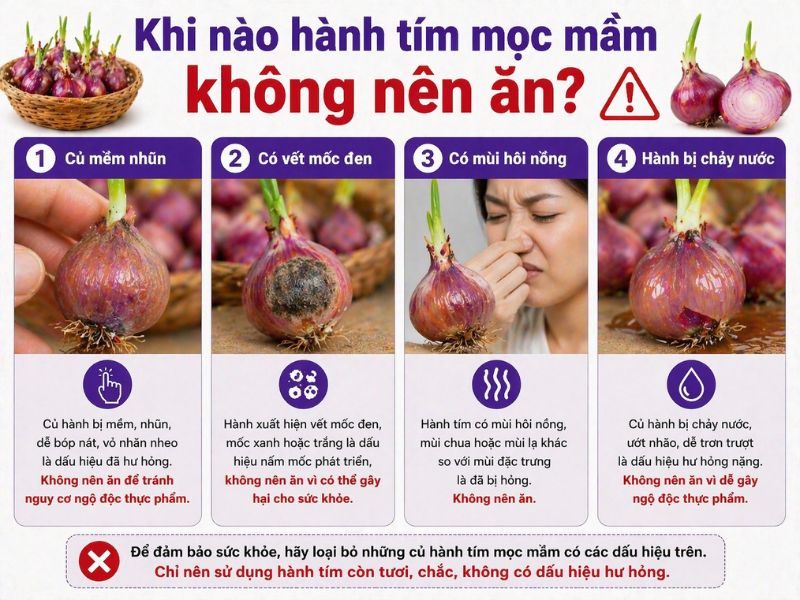 goc-bi-mat-hanh-tim-moc-mam-co-an-duoc-khong