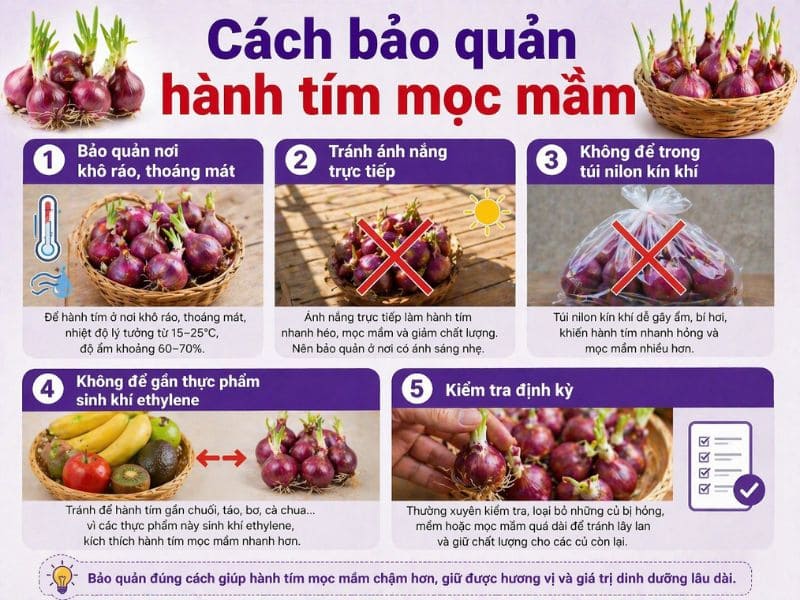 goc-tim-hieu-hanh-tim-moc-mam-co-an-duoc-khong