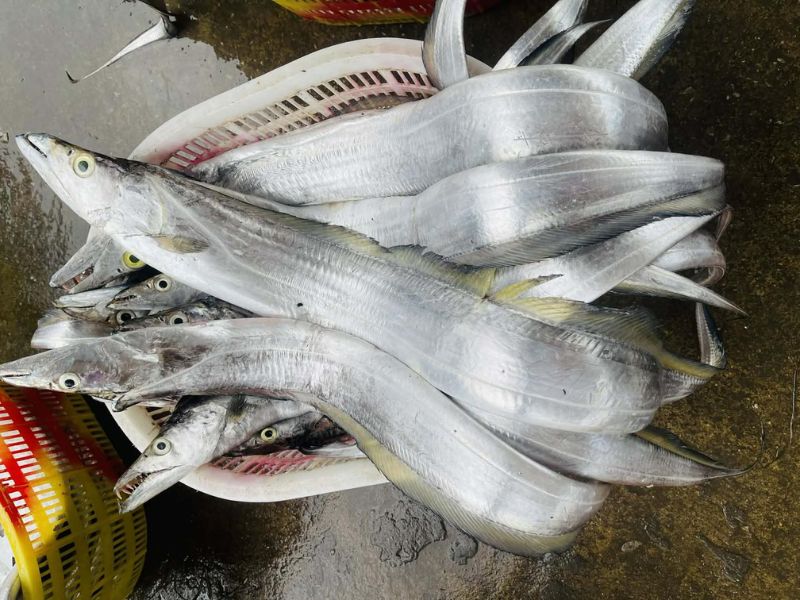 thac-mac-ca-ho-la-ca-gi