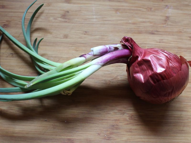 thac-mac-hanh-tim-moc-mam-co-an-duoc-khong