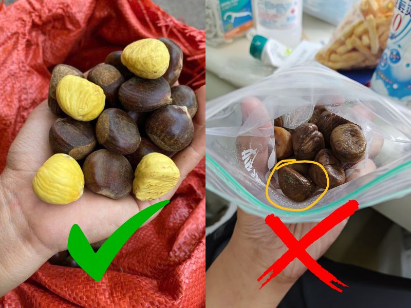 thac-mac-hat-de-moc-mam-co-an-duoc-khong