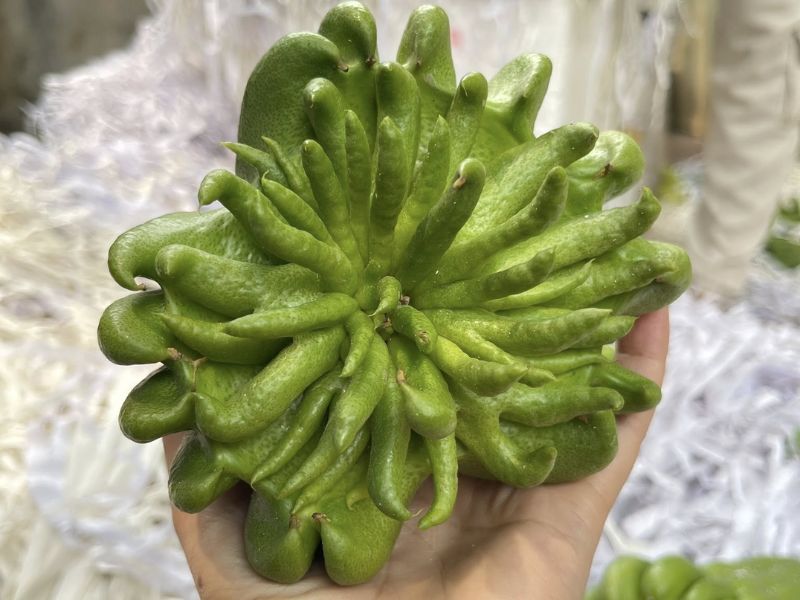 thac-mac-qua-phat-thu-la-gi