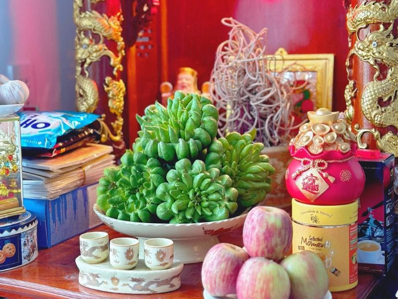 tim-hieu-qua-phat-thu-la-gi