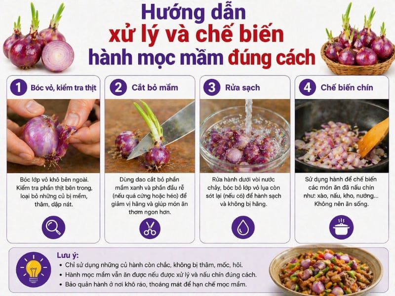 tra-loi-hanh-tim-moc-mam-co-an-duoc-khong