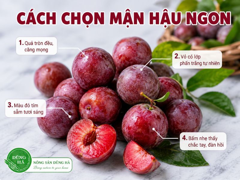 Man-lam-mon-gi-ngon-cach-lam