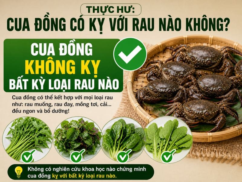 bat-mi-cua-dong-ky-gi