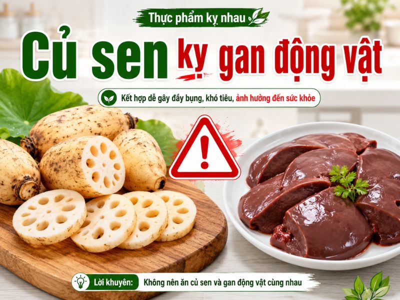 bi-mat-cu-sen-ky-voi-thuc-pham-nao