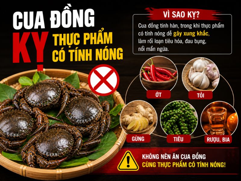 bi-mat-cua-dong-ky-gi