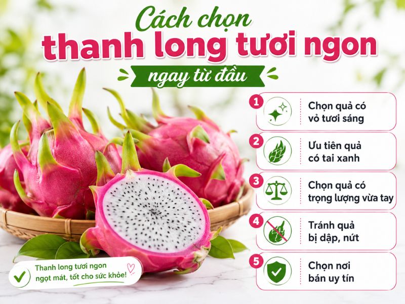 bi-mat-thanh-long-moc-mam-co-an-duoc-khong