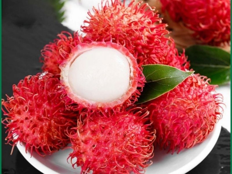 cac-loai-chom-chom-ngon