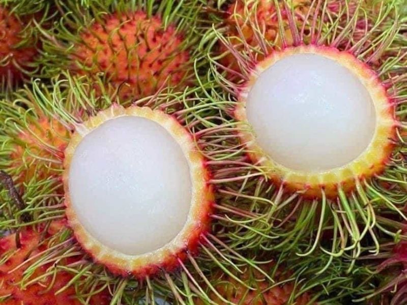 cac-loai-chom-chom-ngot