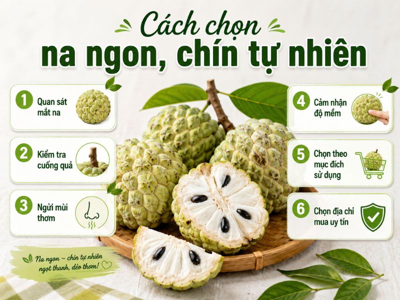 cac-loai-na-ngon-o-viet-nam-hien-nay