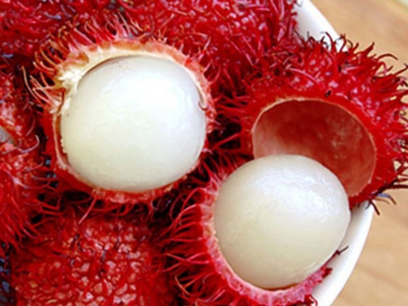 chom-chom-dinh-trong-cac-loai-chom-chom.jpg