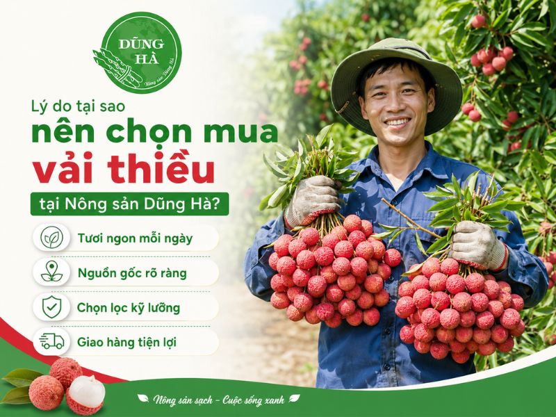 gia-vai-thieu-hom-nay-bao-nhieu-tien