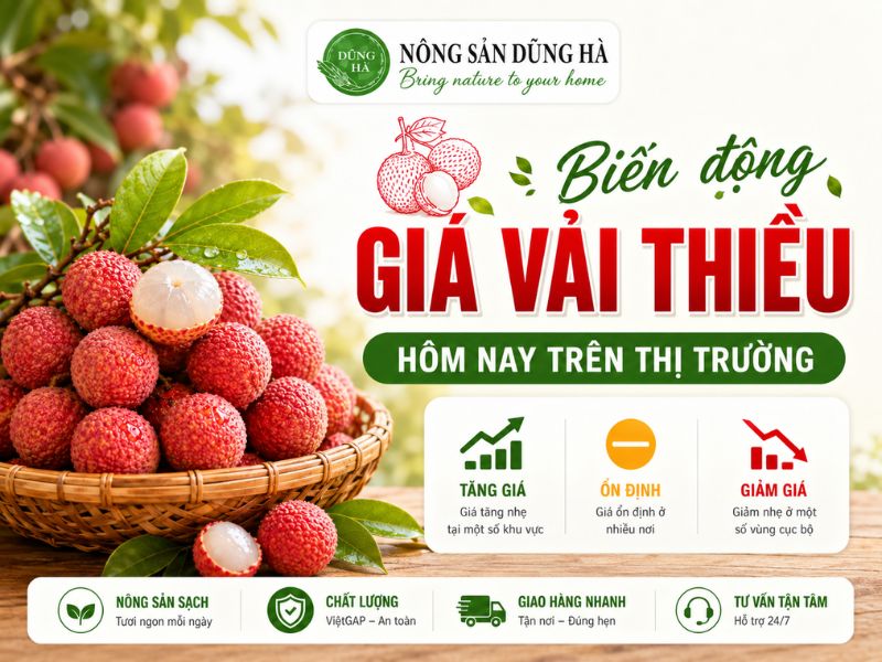 gia-vai-thieu-hom-nay