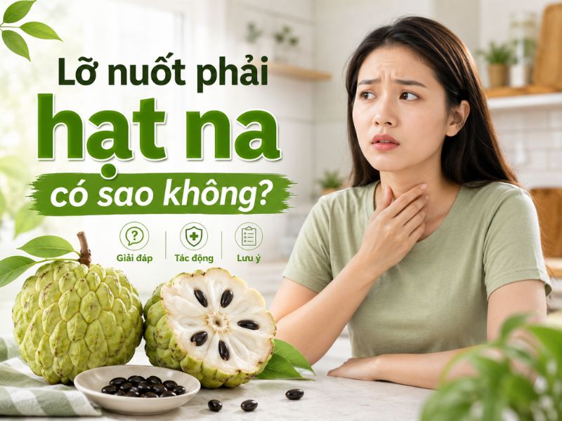 goc-bi-mat-hat-na-co-doc-khong
