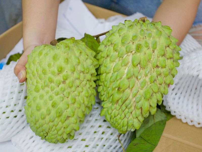 goc-kham-pha-cac-loai-na-ngon-o-viet-nam