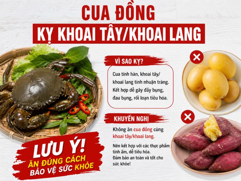 goc-thac-mac-cua-dong-ky-gi