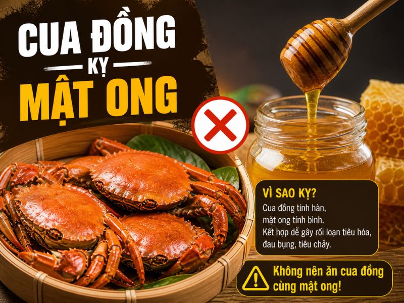 goc-tim-hieu-cua-dong-ky-gi