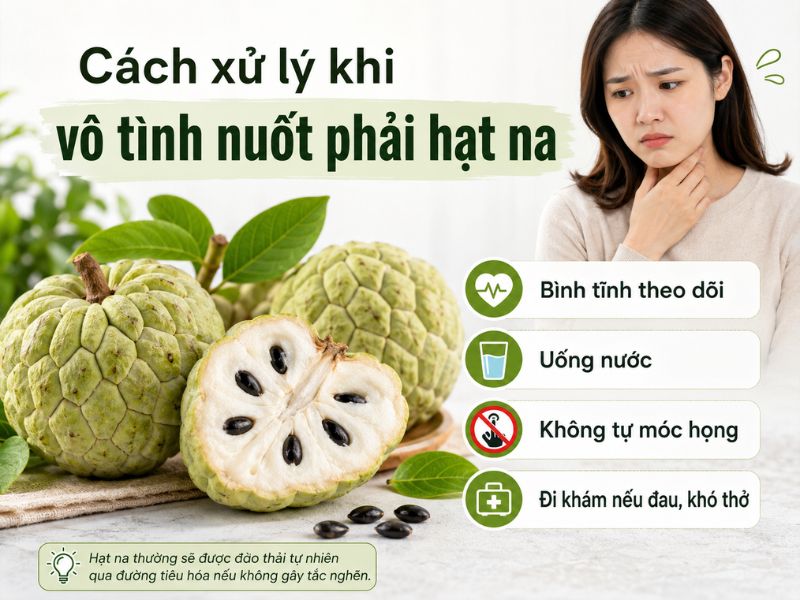 goc-tim-hieu-hat-na-co-doc-khong
