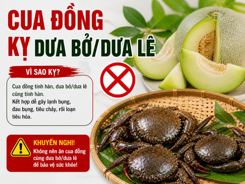 goc-tra-loi-cua-dong-ky-gi