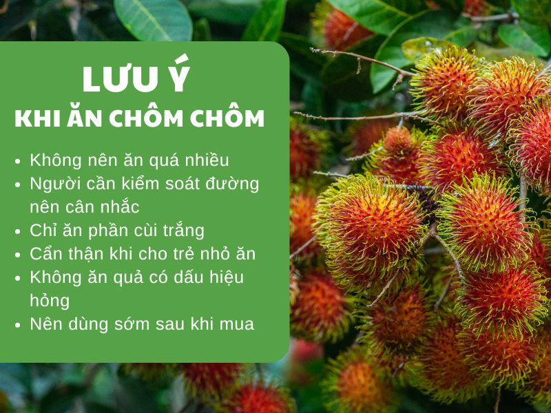 luu-y-khi-an-cac-loai-chom-chom