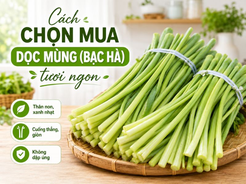 thac-mac-cay-doc-mung-mien-nam-goi-la-gi