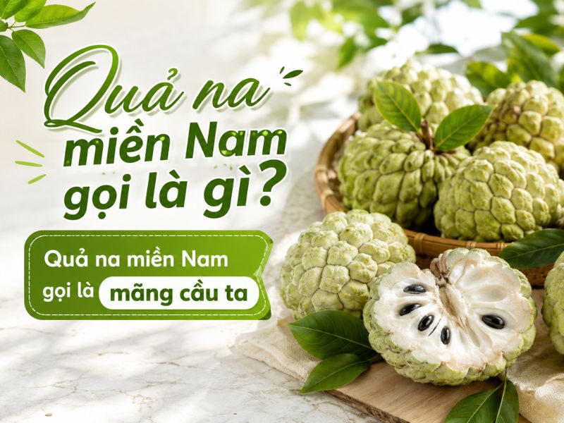thac-mac-qua-na-mien-nam-goi-la-gi