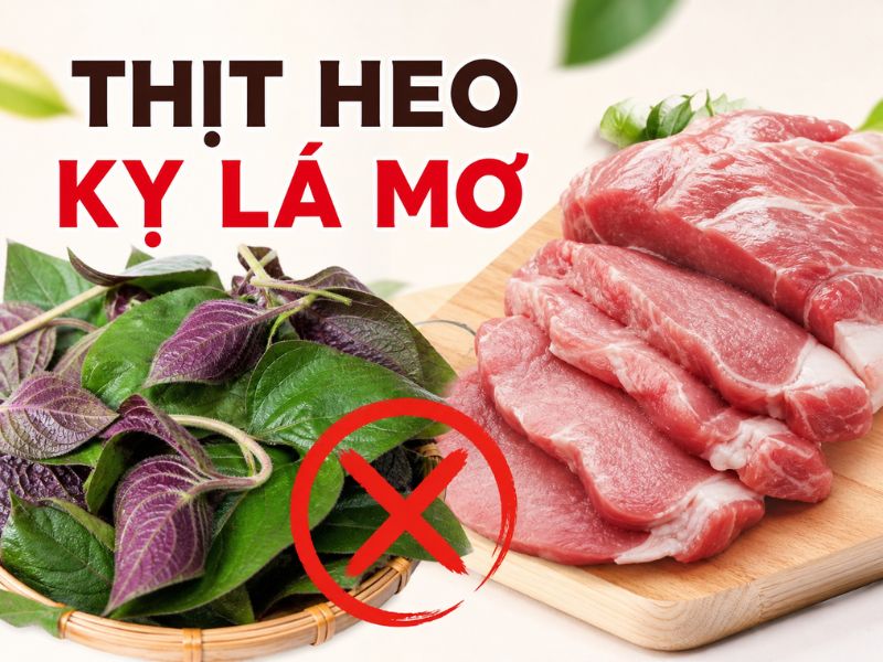 thac-mac-thit-heo-ky-gi.jpg