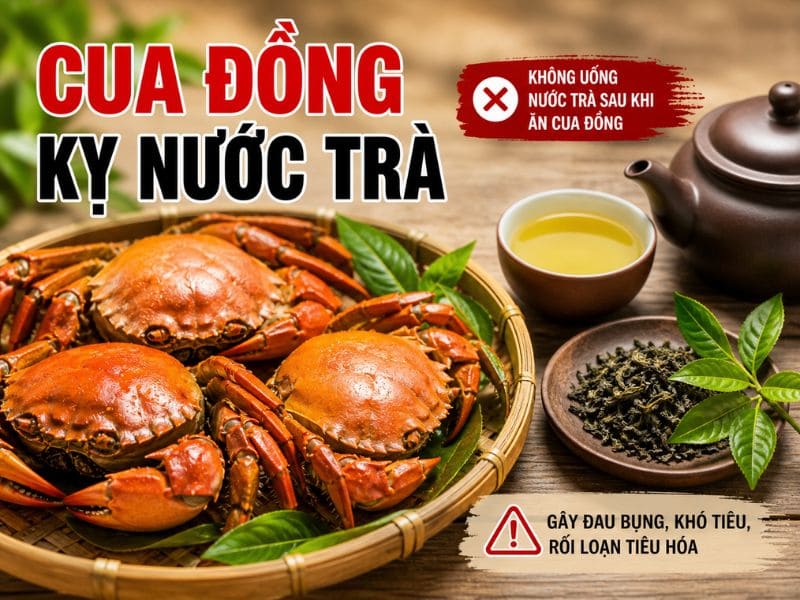tim-hieu-cua-dong-ky-gi