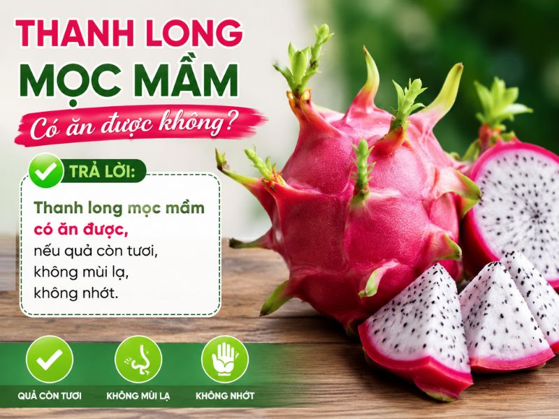 tim-hieu-thanh-long-moc-mam-co-an-duoc-khong