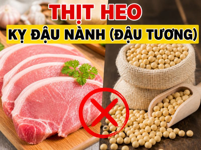 tra-loi-thit-heo-ky-gi.jpg