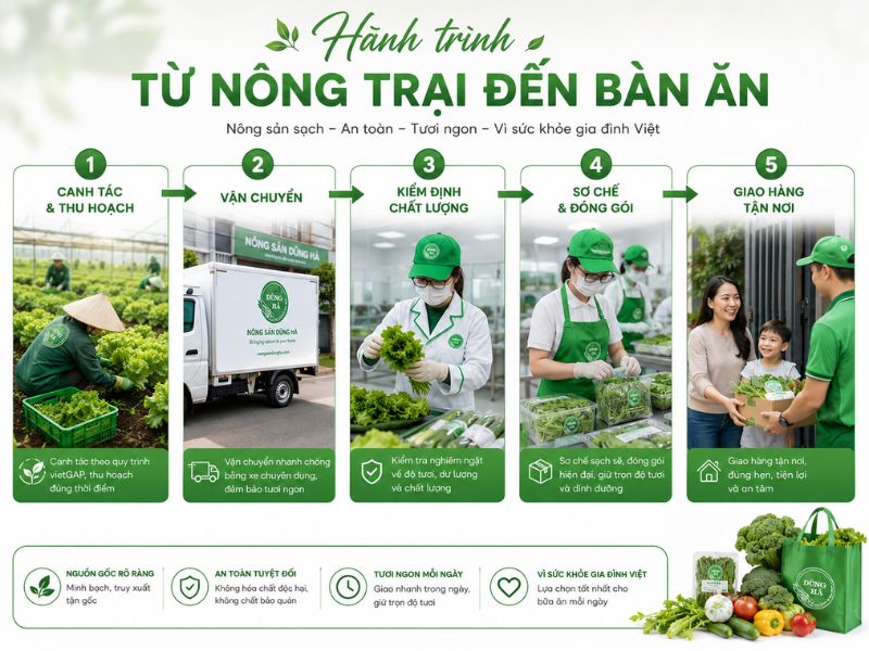 Dia-chi-cung-cap-thuc-pham-sach-o-phuong-Dong-Da