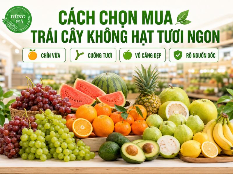 Nhung-trai-cay-khong-hat-mua-o-dau