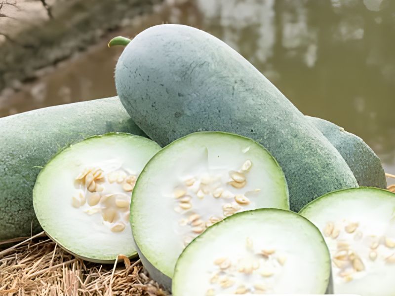 bi-dao-va-bi-xanh-co-khac-nhau-khong