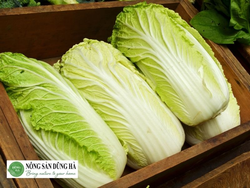 cai-thao-an-song-duoc-khong-vay