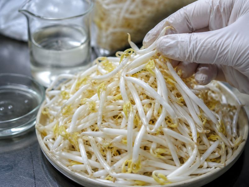 gia-do-ngam-hoa-chat-la-gi.jpg