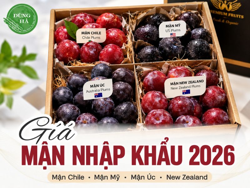 gia-man-hom-nay-bao-nhieu-tien
