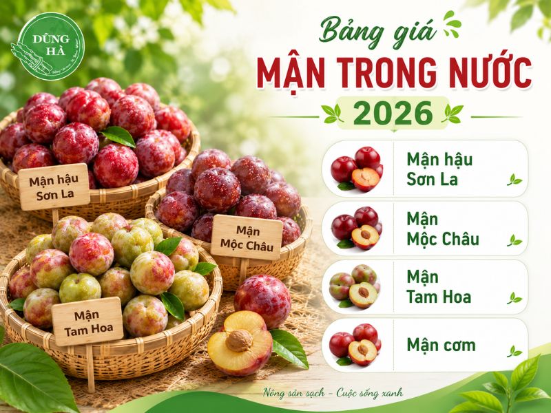 gia-vai-thieu-hom-nay