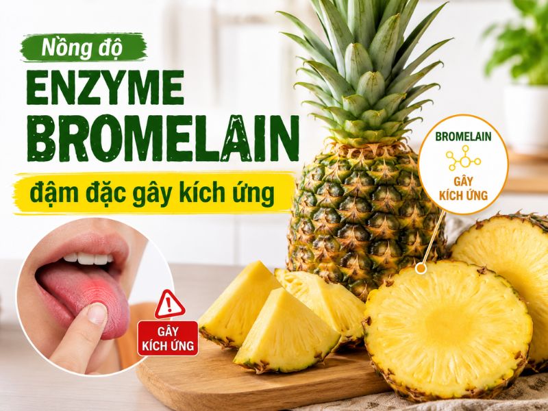 goc-tra-loi-mat-dua-co-doc-khong