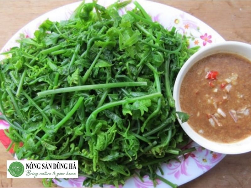 hoi-rau-don-co-phai-la-cay-duong-xi-khong