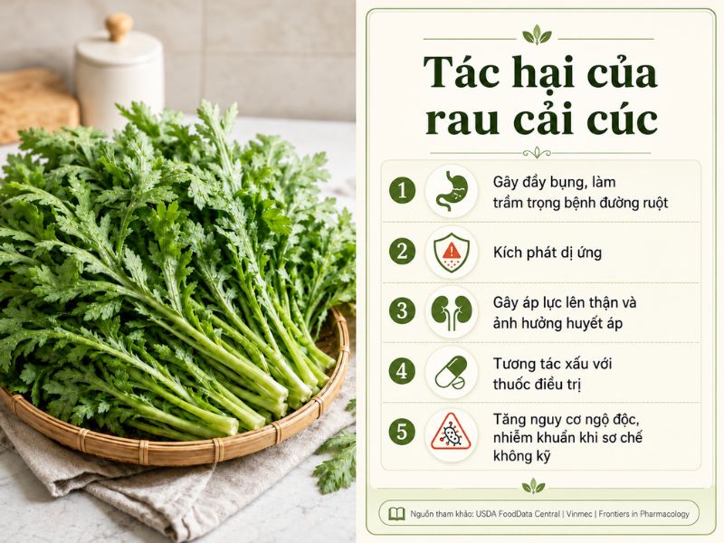 rau-cai-cuc-co-tac-dung-gi-va-tac-hai-gi