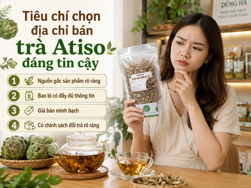 tra-atiso-mua-o-dau-gia-tot