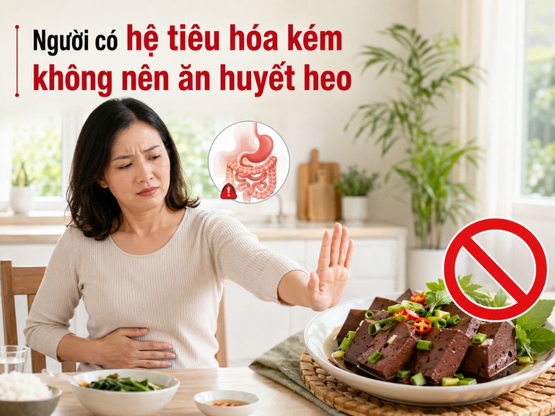 tra-loi-huyet-heo-ky-voi-gi
