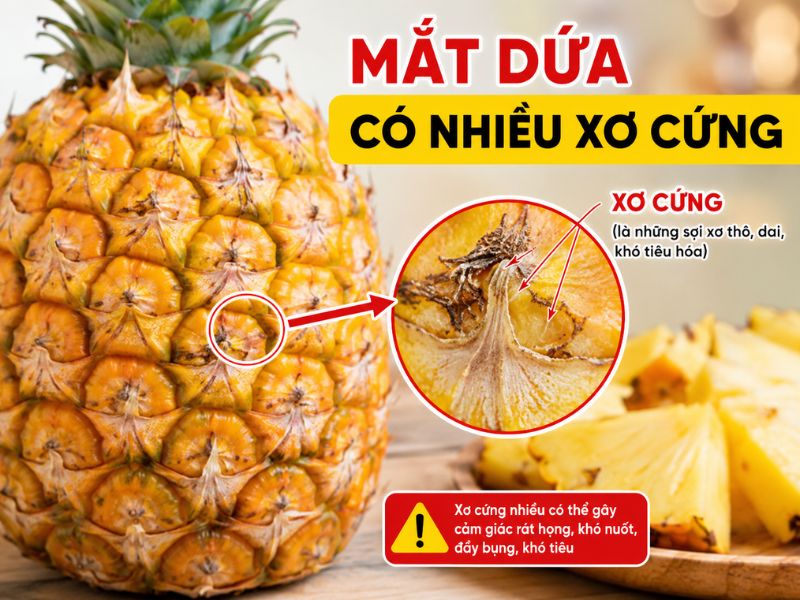 tra-loi-mat-dua-co-doc-khong